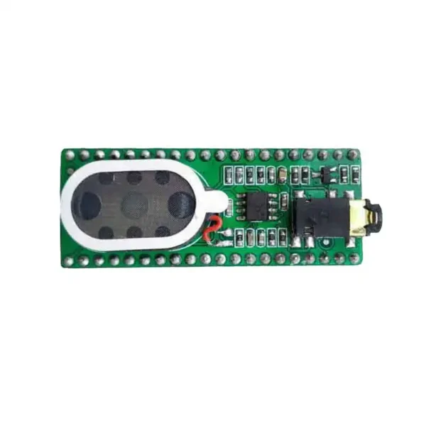 Raspberry Pi Pico Audio module Expansion Board With speaker 3.5mm Headphone jack Comes with playable programs